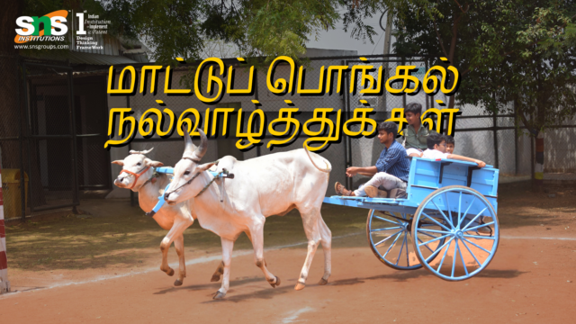 Mattu Pongal