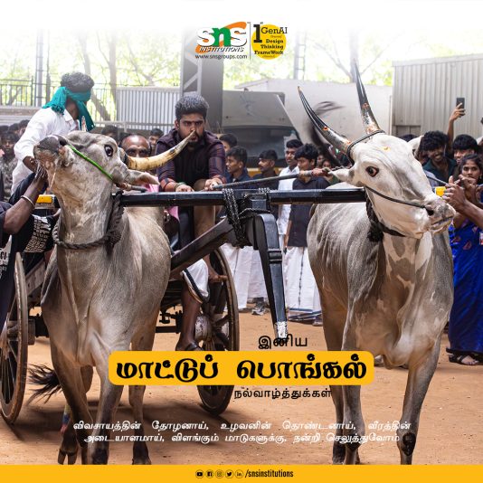 Matu Pongal 16
